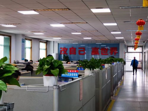 南陽中光廠學校納入南陽市第十七小學教育集團，區域教育資源整合再升級